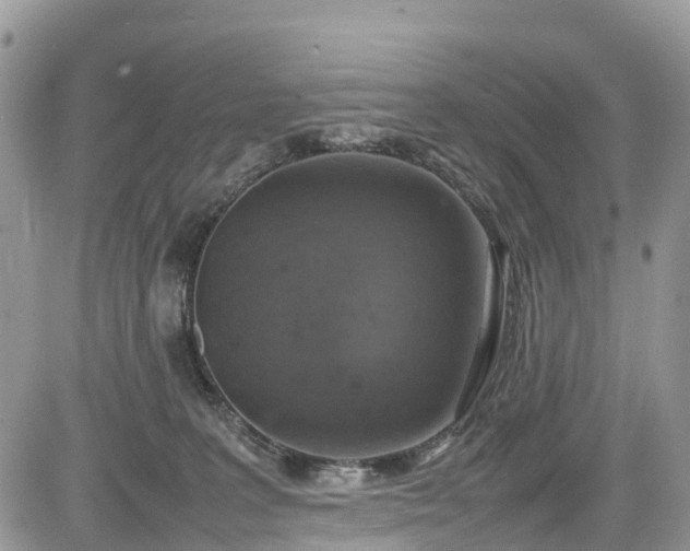 X0000085270227200703161438