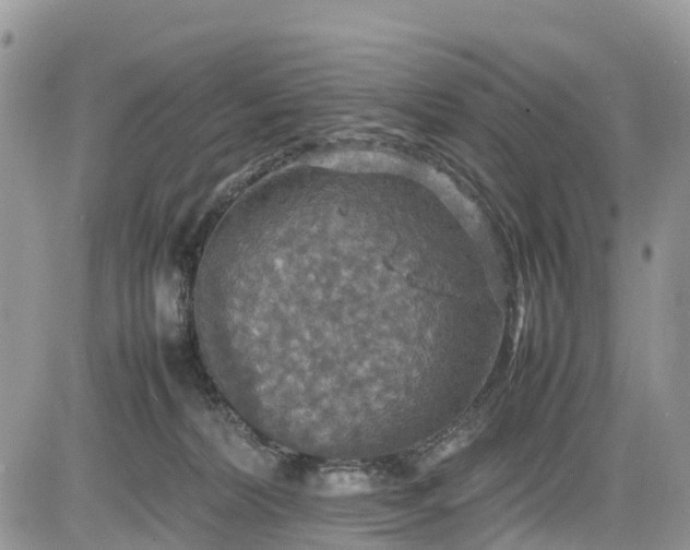 X0000085270228200703161438