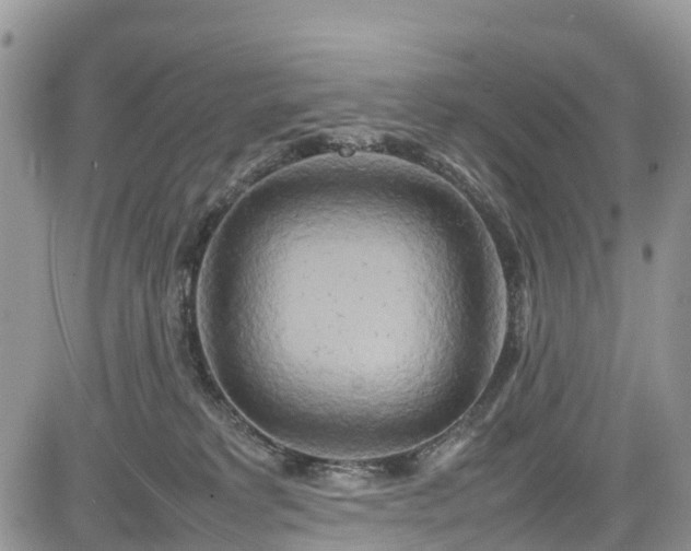 X0000085270229200703161438