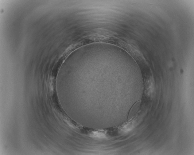 X0000085270232200703161438