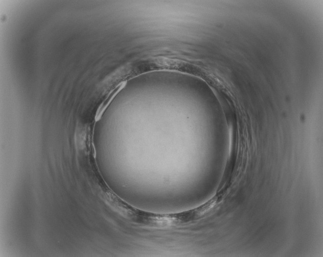 X0000085270233200703161438