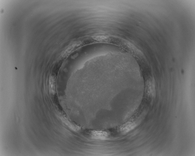 X0000085270234200703161438