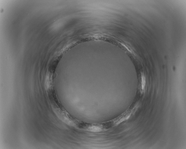 X0000085270236200703161438