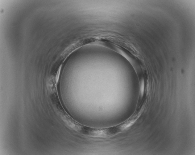 X0000085270237200703161438