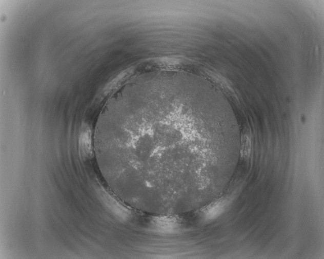 X0000085270238200703161438