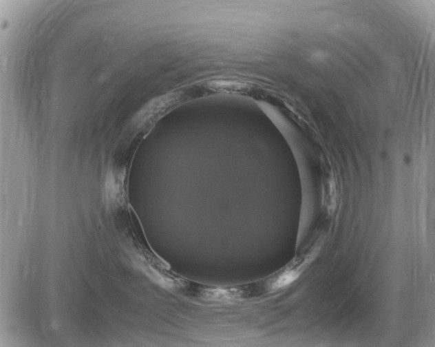 X0000085270239200703161438