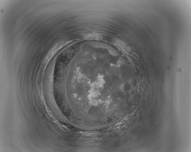 X0000085270241200703161437