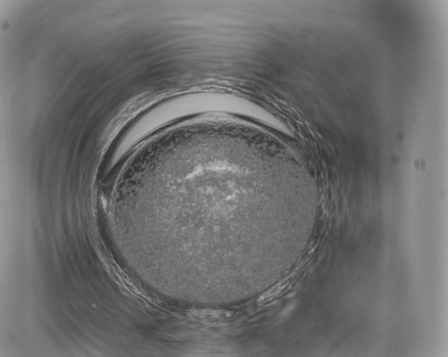 X0000085270242200703161437