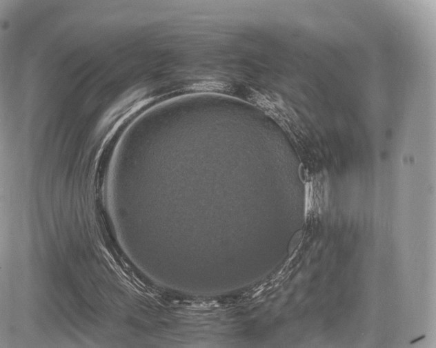 X0000085270243200703161437