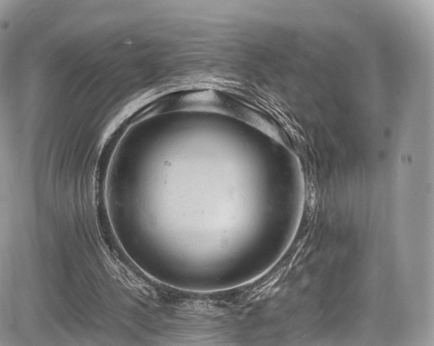 X0000085270244200703161437