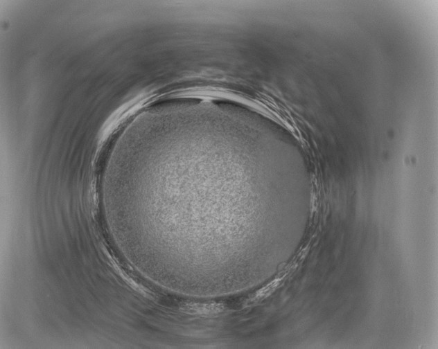 X0000085270245200703161437