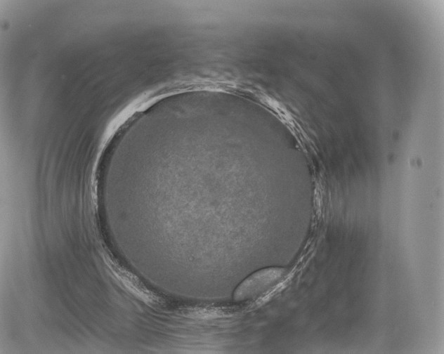 X0000085270246200703161437