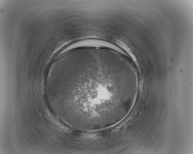 X0000085270249200703161437