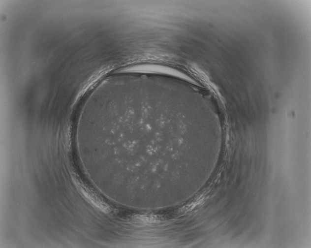 X0000085270250200703161437