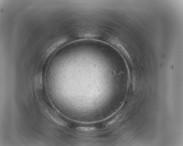 X0000085270251200703161437