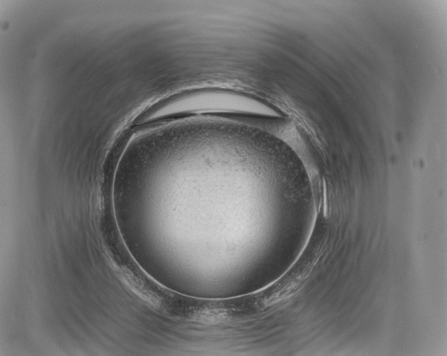 X0000085270252200703161437