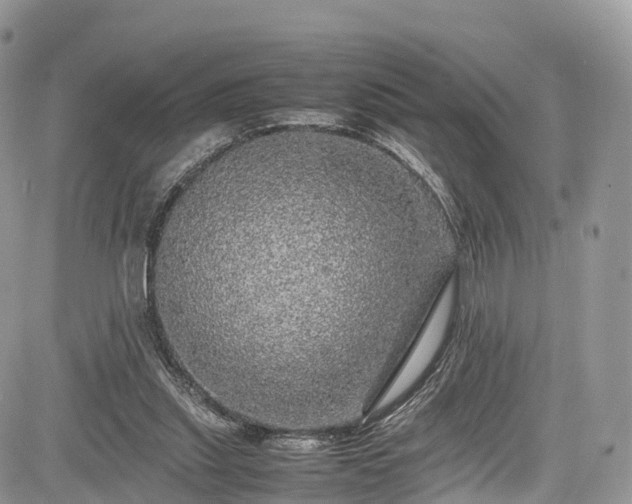 X0000085270253200703161437