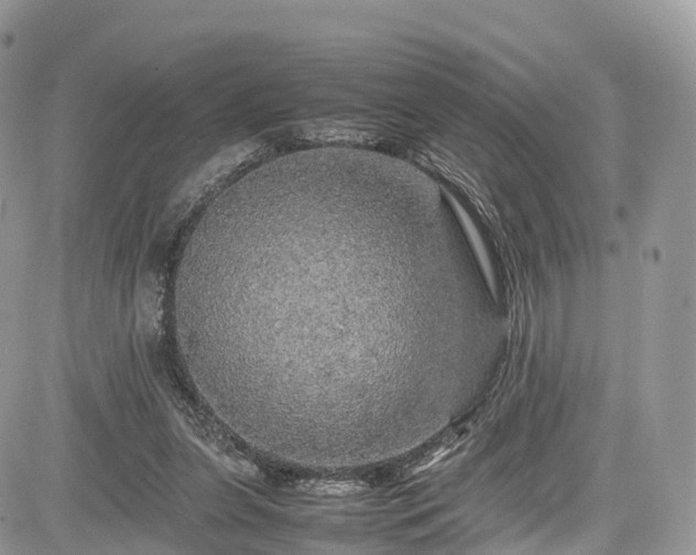 X0000085270255200703161437