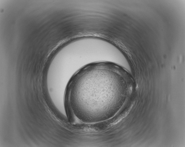 X0000085270256200703161437