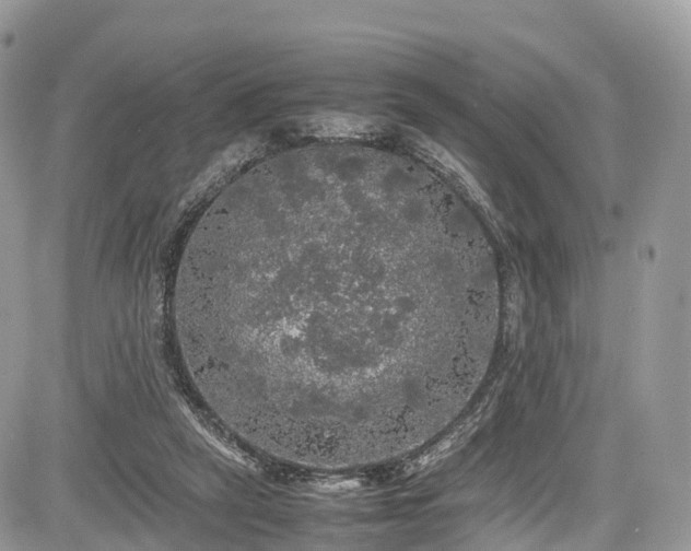 X0000085270257200703161437