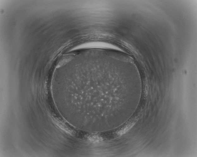 X0000085270258200703161437