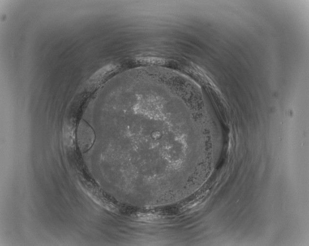 X0000085270259200703161437