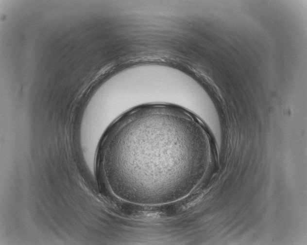 X0000085270260200703161437