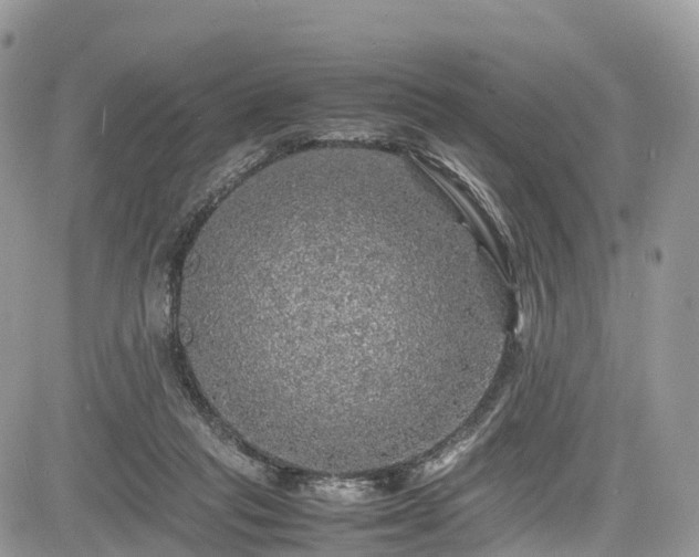 X0000085270261200703161437