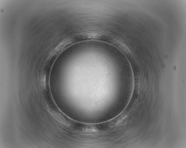 X0000085270262200703161437