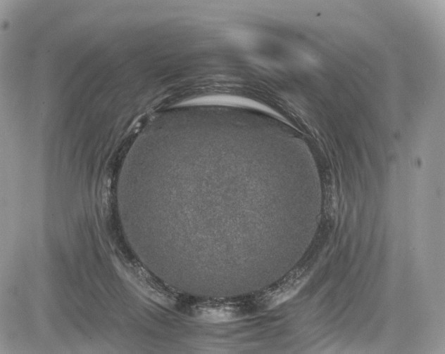 X0000085270263200703161437