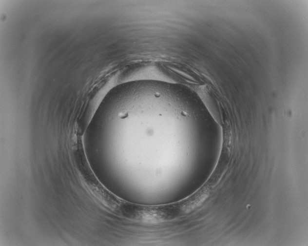 X0000085270264200703161437