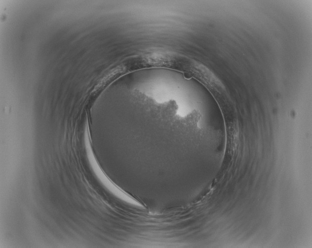 X0000085270266200703161437