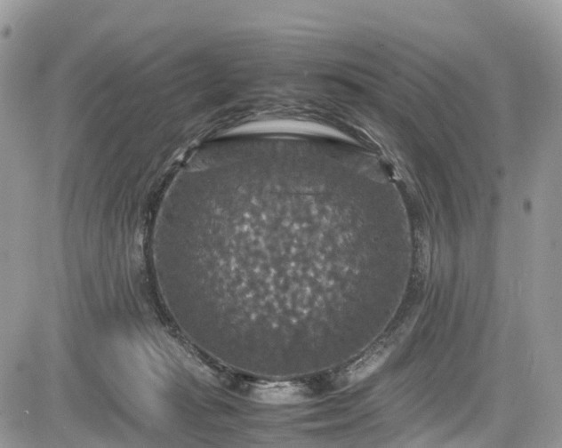 X0000085270269200703161437