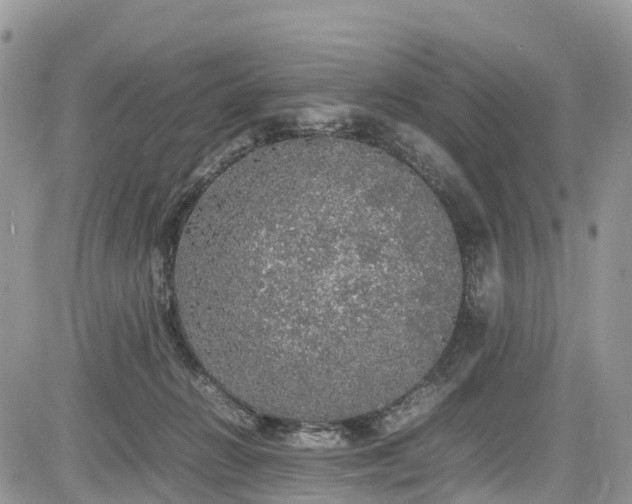 X0000085270270200703161437