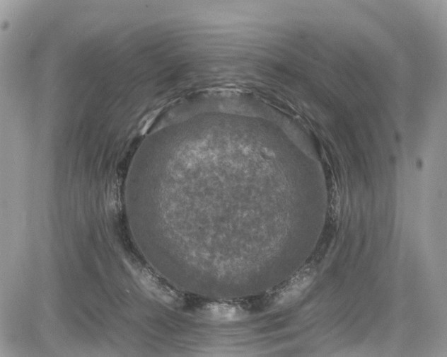 X0000085270272200703161437