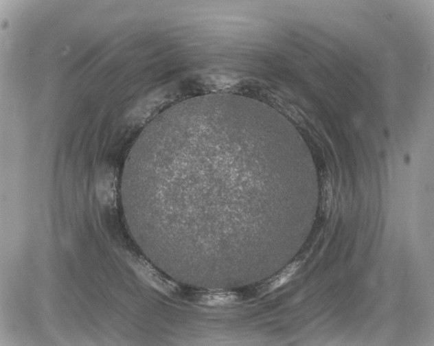 X0000085270274200703161437