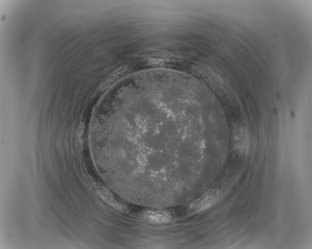 X0000085270275200703161437