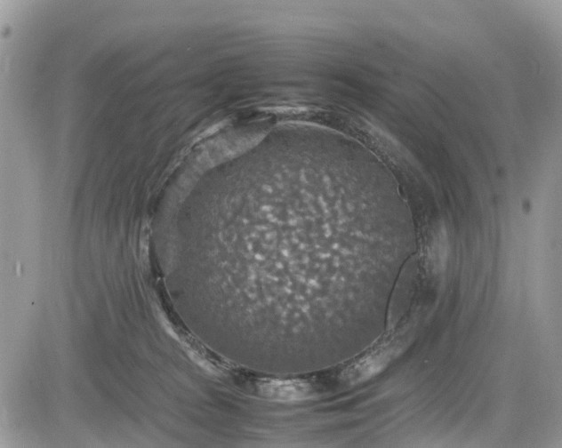 X0000085270277200703161437