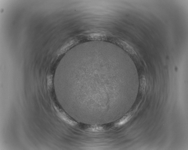 X0000085270278200703161437