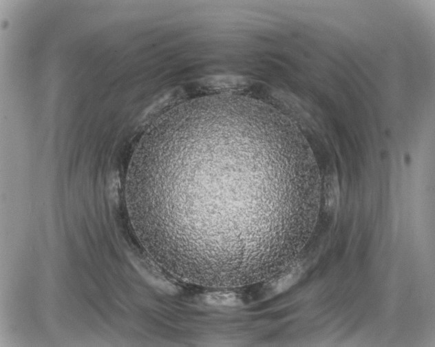 X0000085270279200703161437