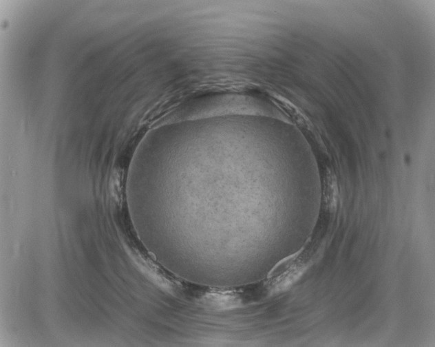 X0000085270280200703161437