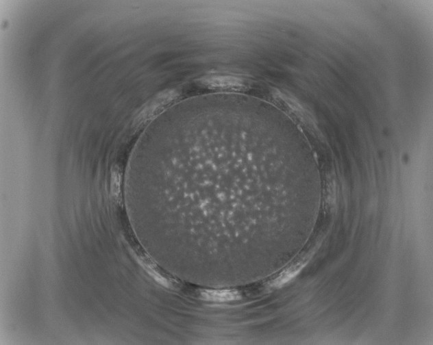 X0000085270281200703161437