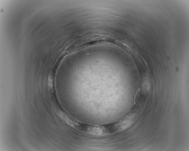 X0000085270282200703161437