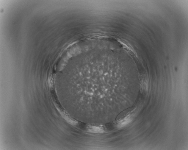 X0000085270285200703161437