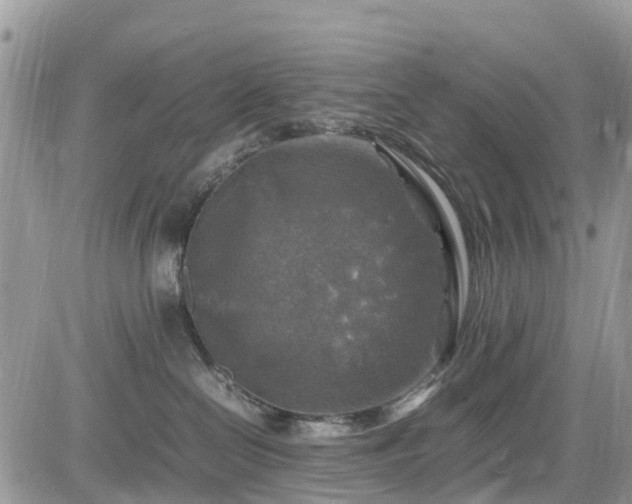 X0000085270286200703161437