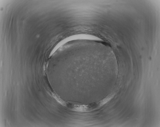 X0000085270288200703161437