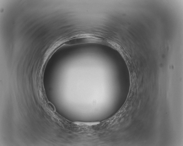 X0000085270289200703161437