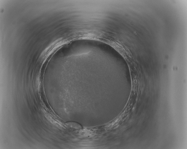 X0000085270290200703161437