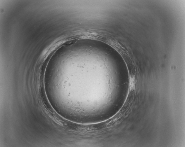 X0000085270291200703161437