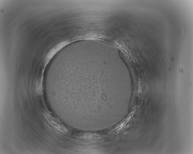 X0000085270292200703161437